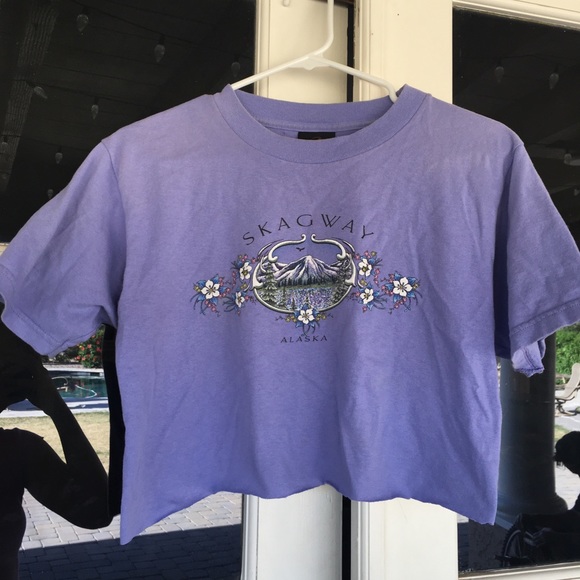 Brandy Melville Tops - cropped vintage Alaska tshirt